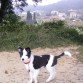 3 meses y 1 semana